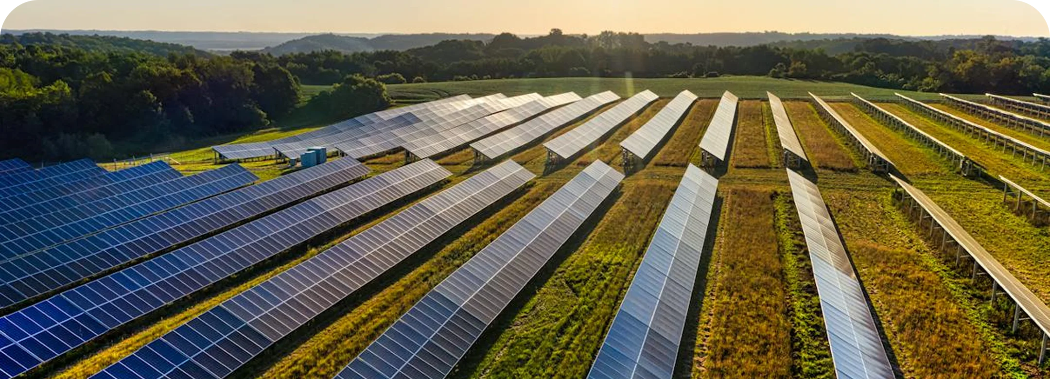 Accassia Solar Project